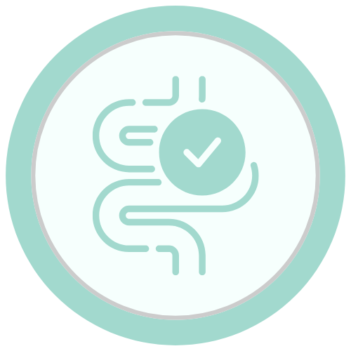 Gut Health & Digestion